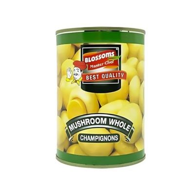 Blossoms Mushrum can 400 gm